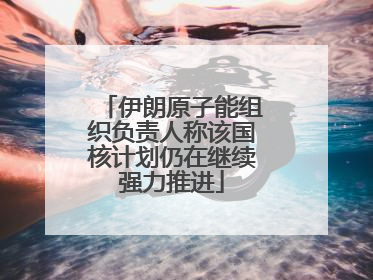 伊朗原子能组织负责人称该国核计划仍在继续强力推进
