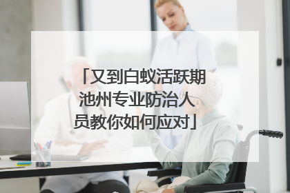 又到白蚁活跃期 池州专业防治人员教你如何应对