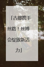 古都携手丝路！丝博会绽放新活力