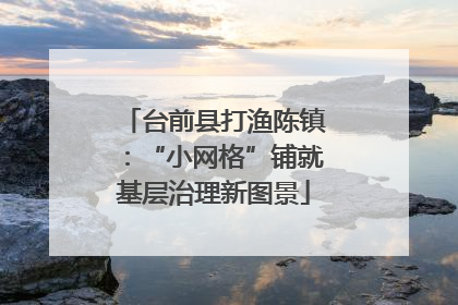 台前县打渔陈镇：“小网格”铺就基层治理新图景