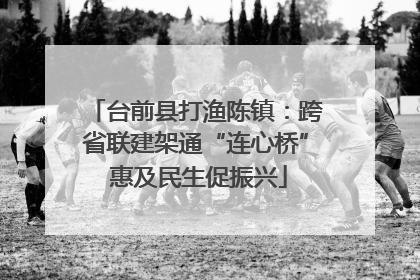 台前县打渔陈镇：跨省联建架通“连心桥” 惠及民生促振兴