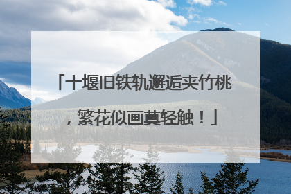 十堰旧铁轨邂逅夹竹桃，繁花似画莫轻触！