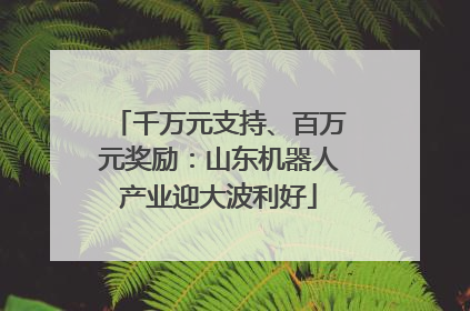 千万元支持、百万元奖励：山东机器人产业迎大波利好