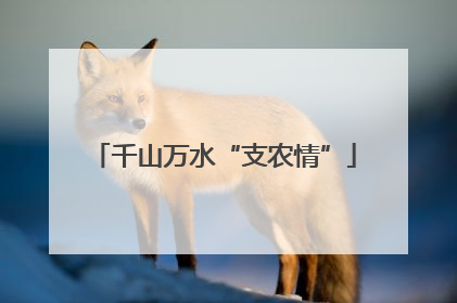 千山万水“支农情”