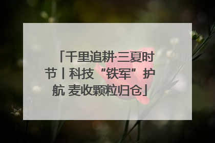 千里追耕·三夏时节丨科技“铁军”护航 麦收颗粒归仓