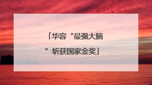 华容“最强大脑”斩获国家金奖