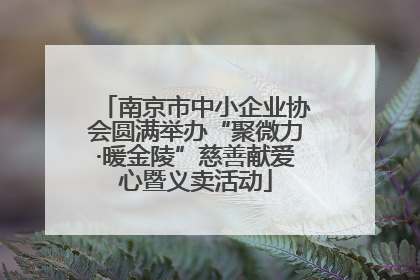 南京市中小企业协会圆满举办“聚微力·暖金陵”慈善献爱心暨义卖活动
