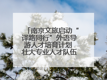 南京文旅启动“译路同行”外语导游人才培育计划 壮大专业人才队伍助力重要国际旅游目的地建设