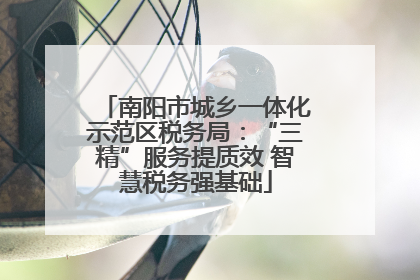 南阳市城乡一体化示范区税务局：“三精”服务提质效 智慧税务强基础