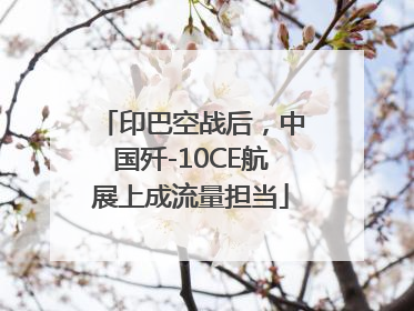 印巴空战后，中国歼-10CE航展上成流量担当