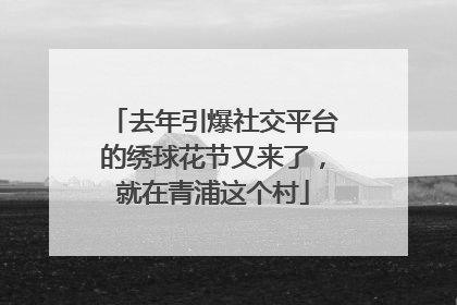 去年引爆社交平台的绣球花节又来了，就在青浦这个村
