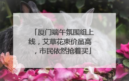 厦门端午氛围组上线，艾草花束价虽高，市民依然抢着买