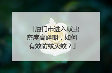 厦门市进入蚊虫密度高峰期，如何有效防蚊灭蚊？