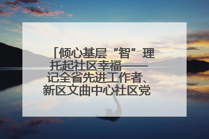 倾心基层“智”理 托起社区幸福——记全省先进工作者、新区文曲中心社区党委书记董世弘