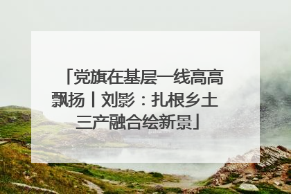 党旗在基层一线高高飘扬丨刘影：扎根乡土 三产融合绘新景