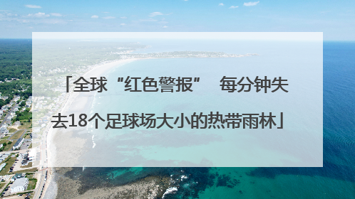 全球“红色警报”  每分钟失去18个足球场大小的热带雨林