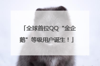 全球首位QQ“金企鹅”等级用户诞生！