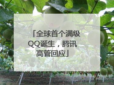 全球首个满级QQ诞生，腾讯高管回应