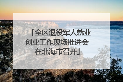 全区退役军人就业创业工作现场推进会在北海市召开