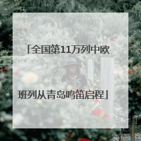 全国第11万列中欧班列从青岛鸣笛启程