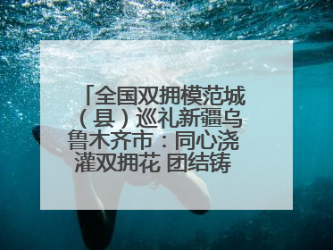 全国双拥模范城（县）巡礼新疆乌鲁木齐市：同心浇灌双拥花 团结铸就军民情