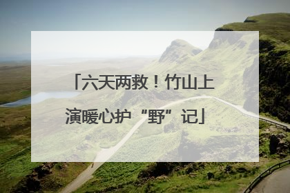 六天两救！竹山上演暖心护“野”记