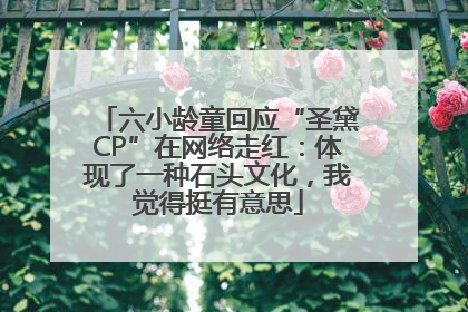 六小龄童回应“圣黛CP”在网络走红：体现了一种石头文化，我觉得挺有意思