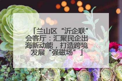 兰山区“沂企联”会客厅：汇聚民企出海新动能，打造跨境发展“强磁场”