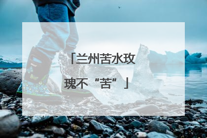 兰州苦水玫瑰不“苦”