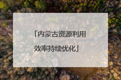内蒙古资源利用效率持续优化