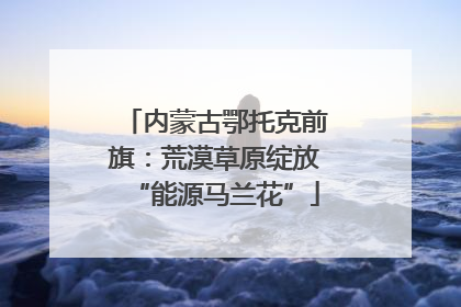 内蒙古鄂托克前旗：荒漠草原绽放“能源马兰花”