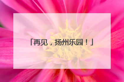 再见，扬州乐园！