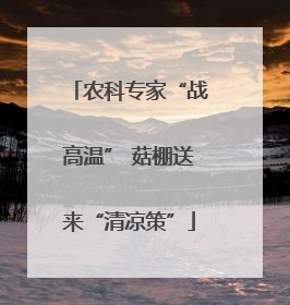 农科专家“战高温” 菇棚送来“清凉策”