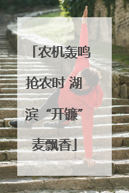 农机轰鸣抢农时 湖滨“开镰”麦飘香