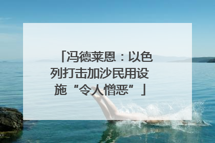 冯德莱恩：以色列打击加沙民用设施“令人憎恶”