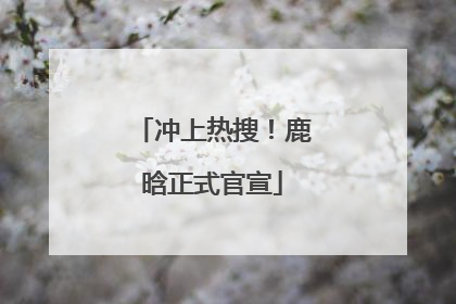 冲上热搜！鹿晗正式官宣