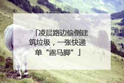 凌晨路边偷倒建筑垃圾，一张快递单“露马脚”