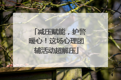 减压赋能，护警暖心！这场心理团辅活动超解压