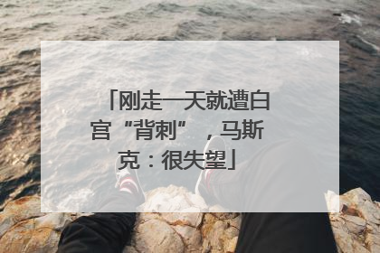 刚走一天就遭白宫“背刺”，马斯克：很失望