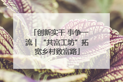 创新实干 事争一流｜“共富工坊”拓宽乡村致富路