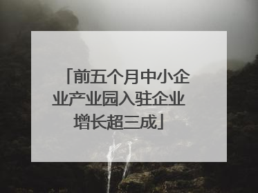 前五个月中小企业产业园入驻企业增长超三成