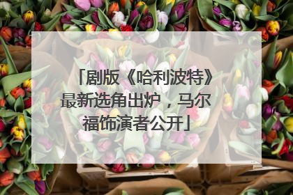 剧版《哈利波特》最新选角出炉，马尔福饰演者公开