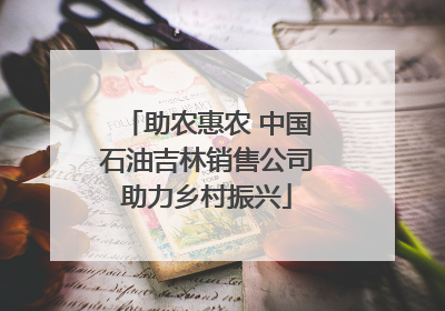 助农惠农 中国石油吉林销售公司助力乡村振兴