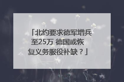 北约要求德军增兵至25万 德国或恢复义务服役补缺？