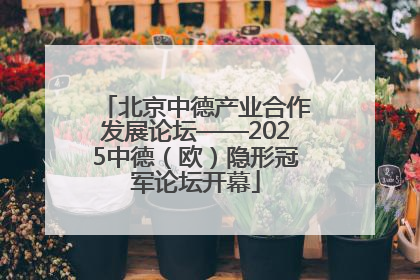 北京中德产业合作发展论坛——2025中德（欧）隐形冠军论坛开幕
