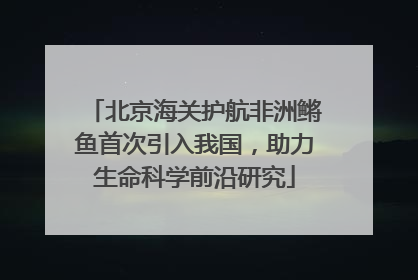 北京海关护航非洲鳉鱼首次引入我国，助力生命科学前沿研究