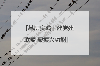 基层实践丨建党建联盟 聚振兴功能