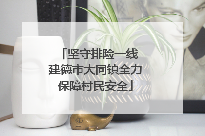 坚守排险一线 建德市大同镇全力保障村民安全