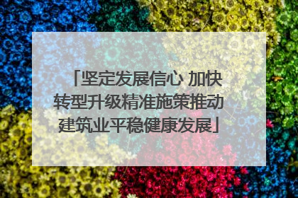 坚定发展信心 加快转型升级精准施策推动建筑业平稳健康发展