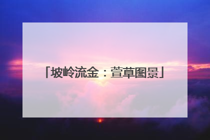 坡岭流金：萱草图景